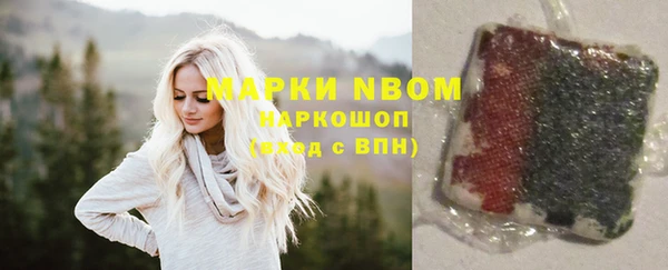крисы Абаза