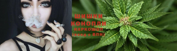 крисы Абаза