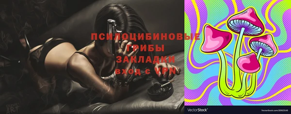 крисы Абаза