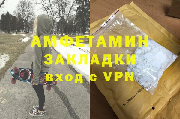 крисы Абаза